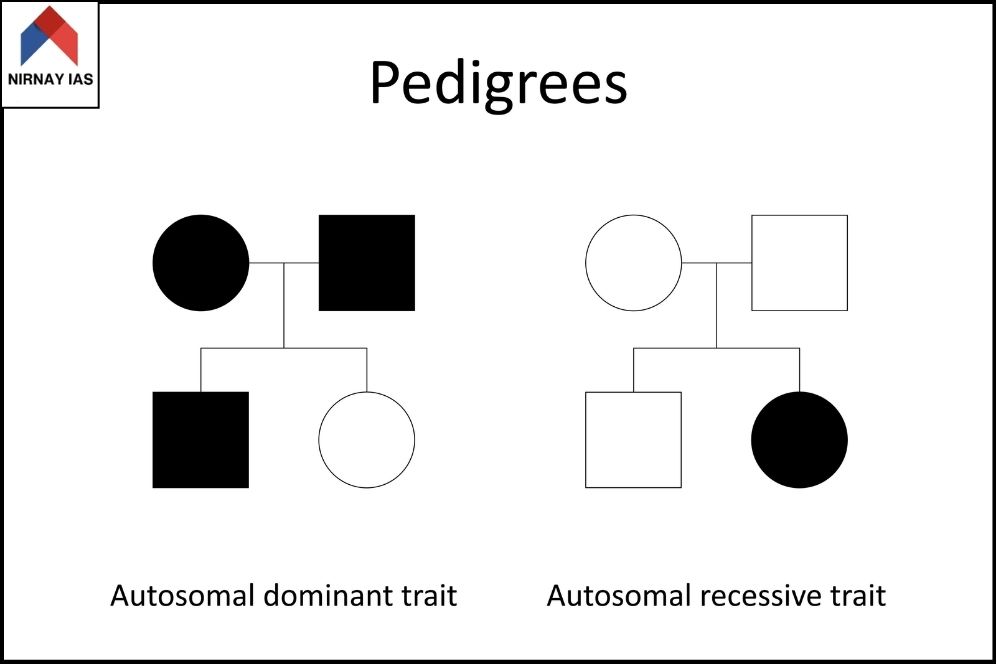 Pedigree Analysis, Meaning, Types, Examples & Significance